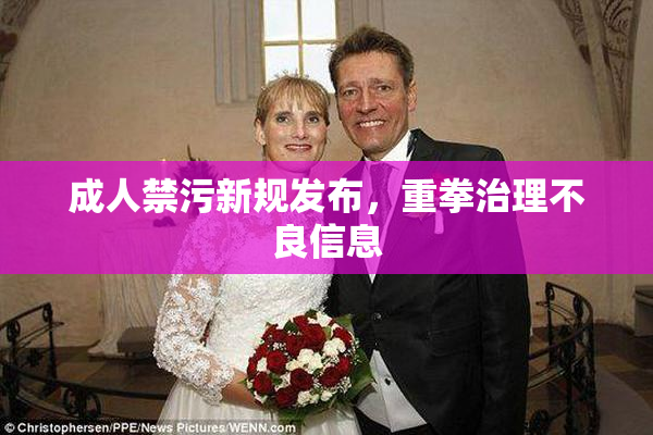 成人禁污新规发布，重拳治理不良信息