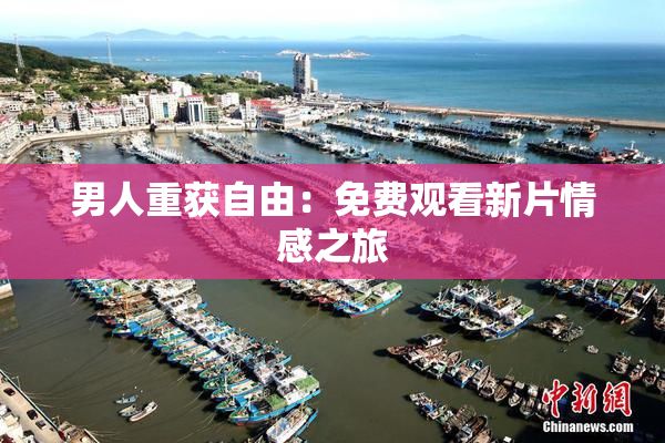 男人重获自由：免费观看新片情感之旅