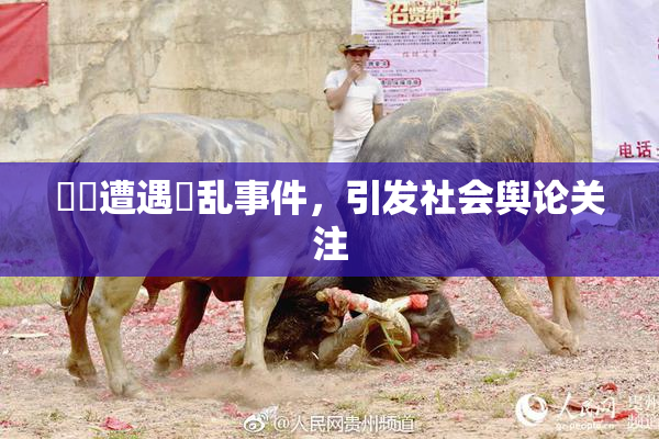 妺妺遭遇婬乱事件，引发社会舆论关注