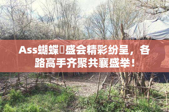 Ass蝴蝶泬盛会精彩纷呈，各路高手齐聚共襄盛举！