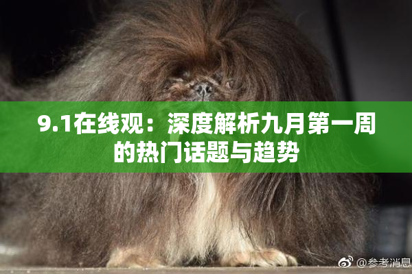 9.1在线观：深度解析九月第一周的热门话题与趋势