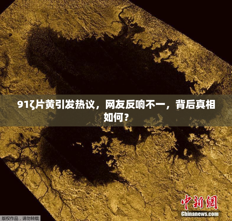 91ζ片黄引发热议，网友反响不一，背后真相如何？