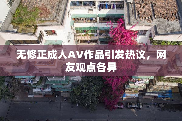 无修正成人AV作品引发热议，网友观点各异