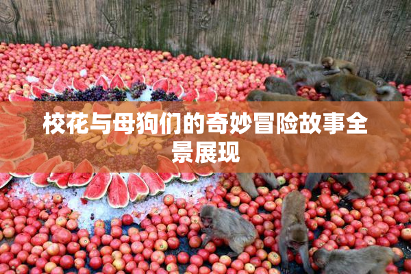 校花与母狗们的奇妙冒险故事全景展现