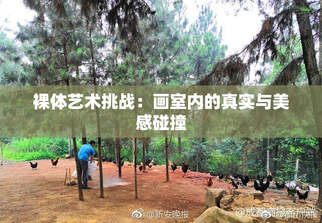 裸体艺术挑战：画室内的真实与美感碰撞