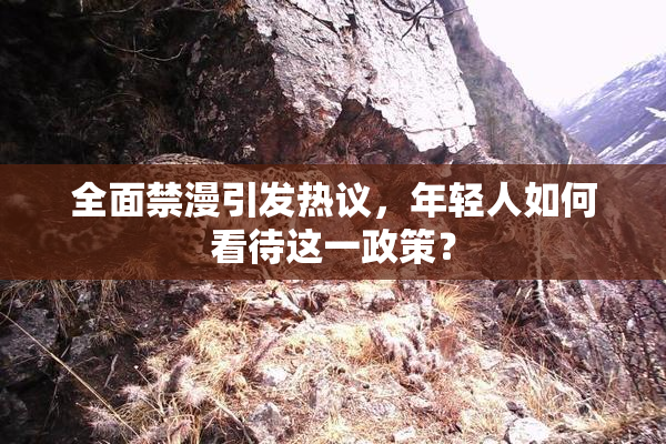 全面禁漫引发热议，年轻人如何看待这一政策？