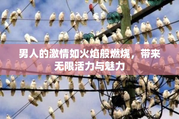 男人的激情如火焰般燃烧，带来无限活力与魅力