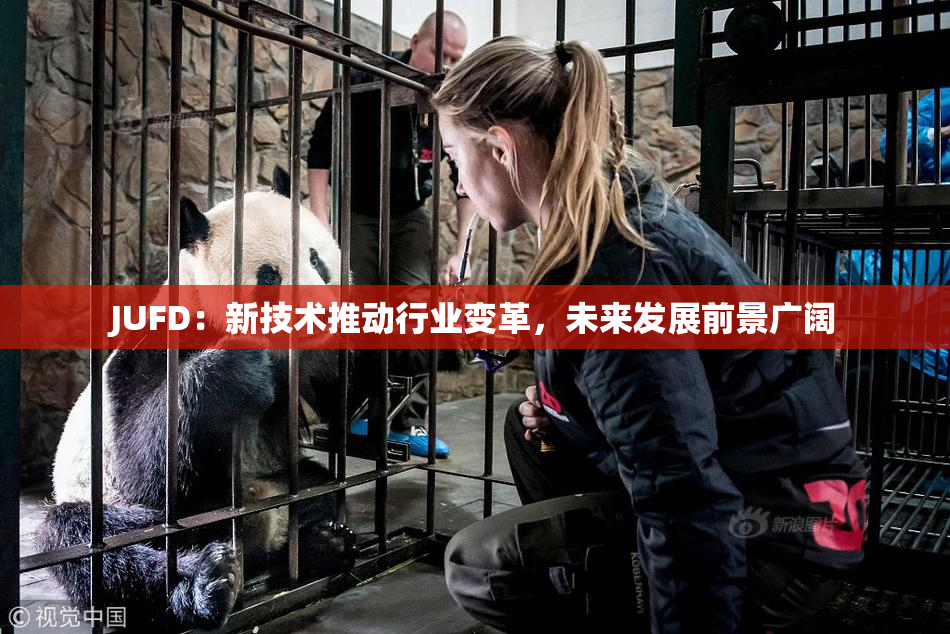 JUFD：新技术推动行业变革，未来发展前景广阔