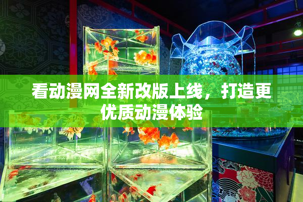 看动漫网全新改版上线，打造更优质动漫体验