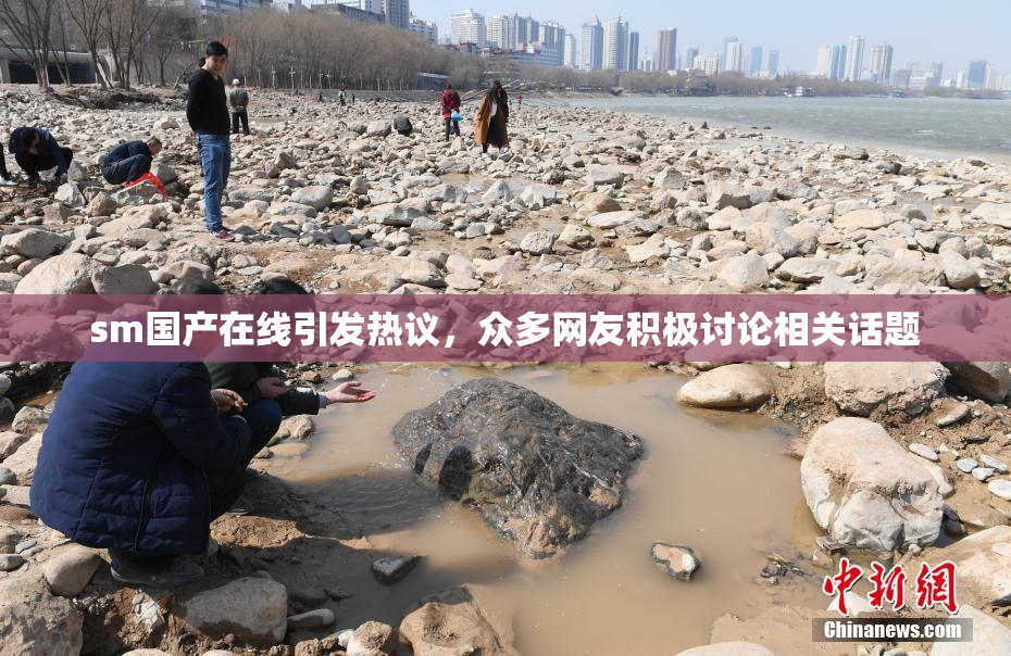 sm国产在线引发热议，众多网友积极讨论相关话题
