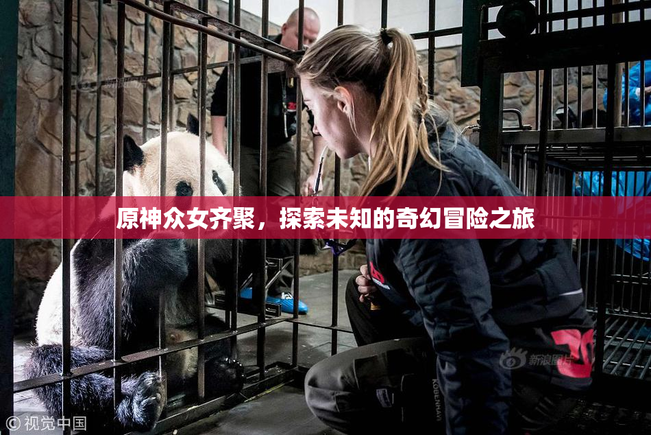 原神众女齐聚，探索未知的奇幻冒险之旅