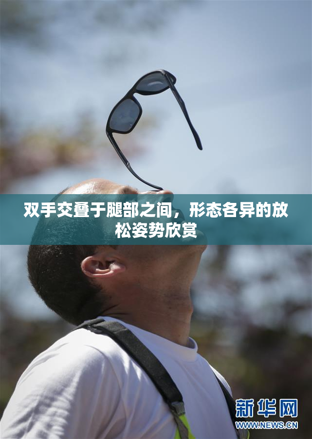 双手交叠于腿部之间，形态各异的放松姿势欣赏