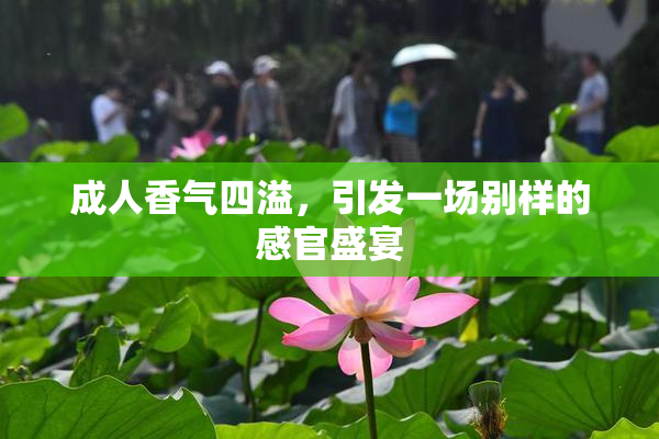 成人香气四溢，引发一场别样的感官盛宴