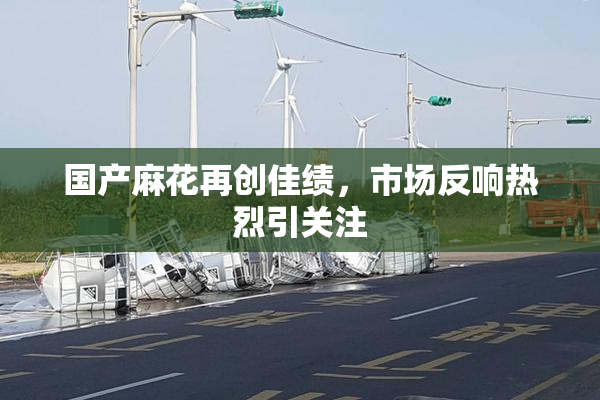国产麻花再创佳绩，市场反响热烈引关注