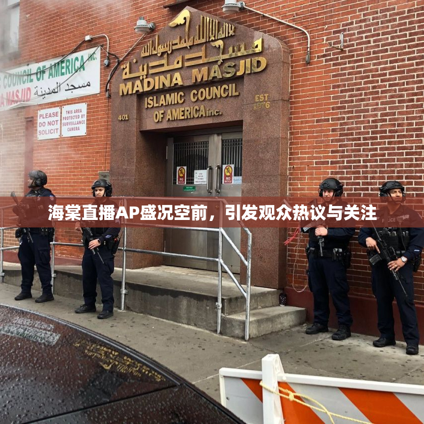 海棠直播AP盛况空前，引发观众热议与关注