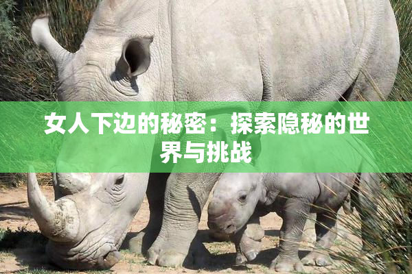 女人下边的秘密：探索隐秘的世界与挑战