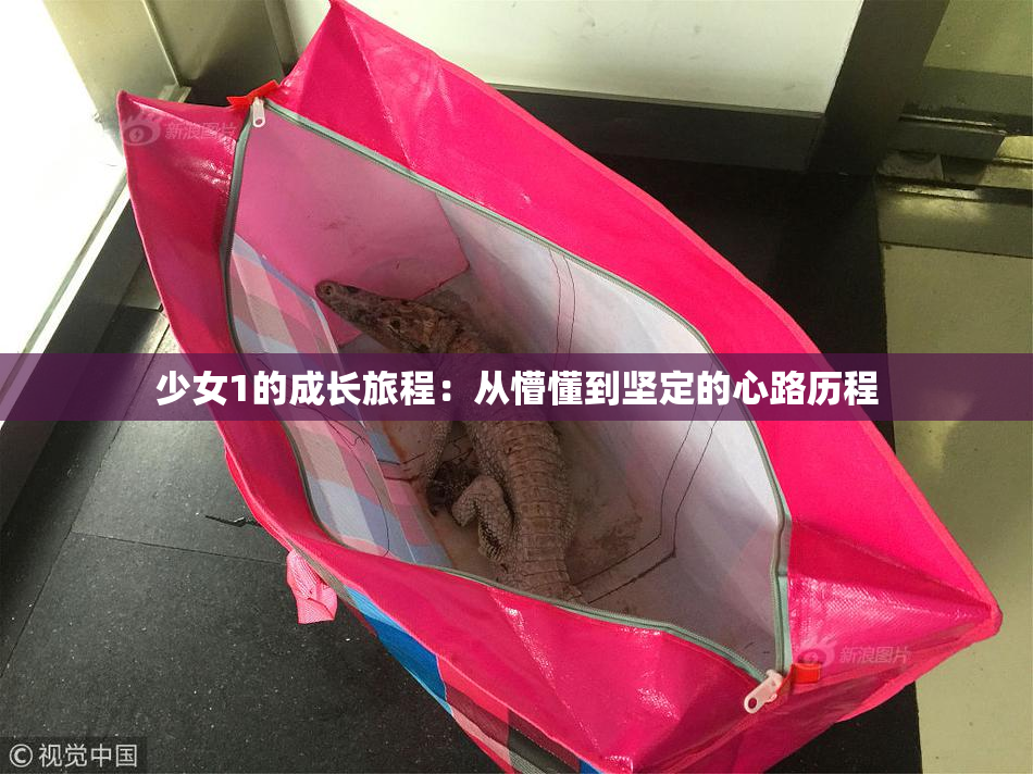少女1的成长旅程：从懵懂到坚定的心路历程