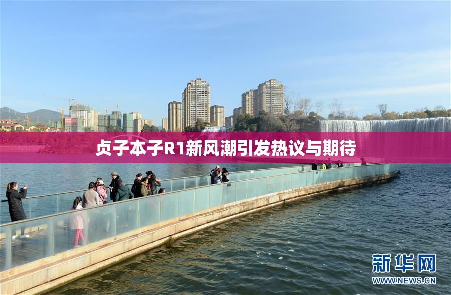 贞子本子R1新风潮引发热议与期待