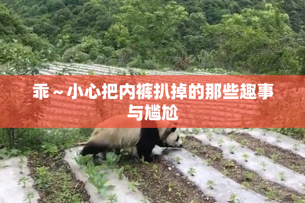 乖～小心把内裤扒掉的那些趣事与尴尬