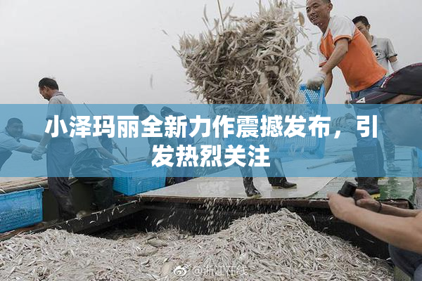 小泽玛丽全新力作震撼发布，引发热烈关注