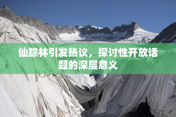 仙踪林引发热议，探讨性开放话题的深层意义