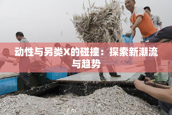动性与另类X的碰撞：探索新潮流与趋势