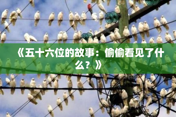 《五十六位的故事：偷偷看见了什么？》