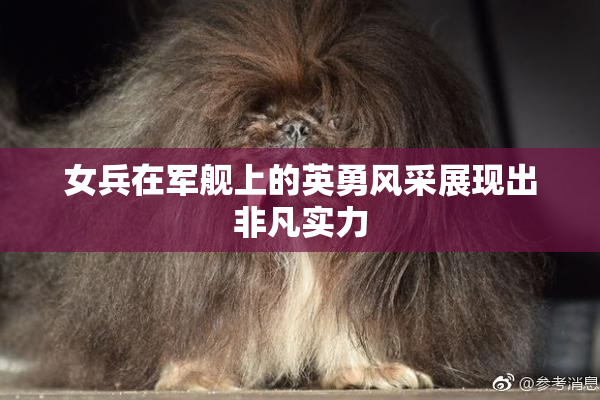 女兵在军舰上的英勇风采展现出非凡实力