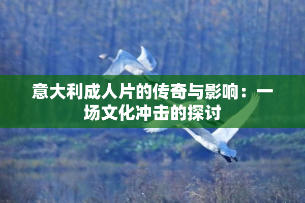 意大利成人片的传奇与影响：一场文化冲击的探讨