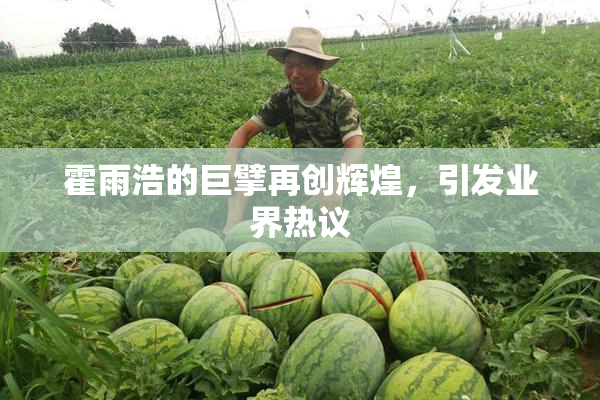 霍雨浩的巨擘再创辉煌，引发业界热议
