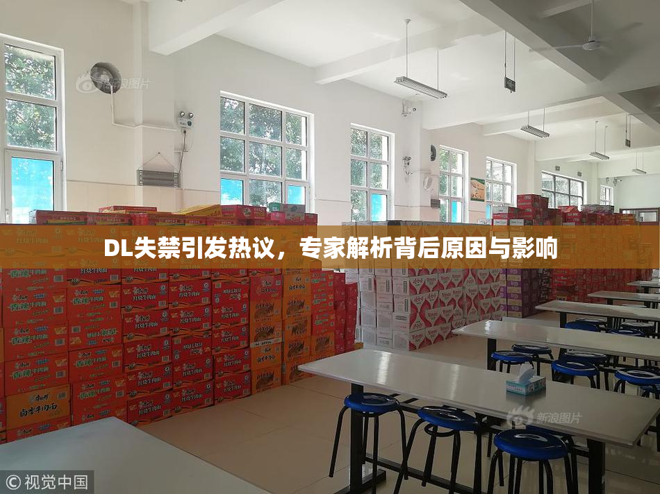 DL失禁引发热议，专家解析背后原因与影响