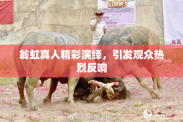 翁虹真人精彩演绎，引发观众热烈反响