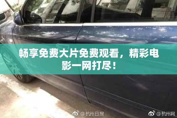 畅享免费大片免费观看，精彩电影一网打尽！