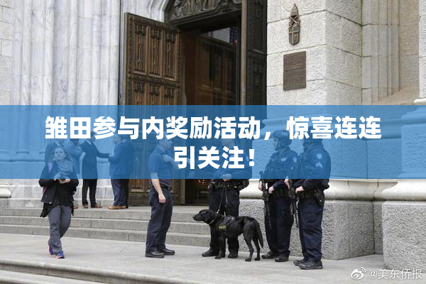 雏田参与内奖励活动，惊喜连连引关注！