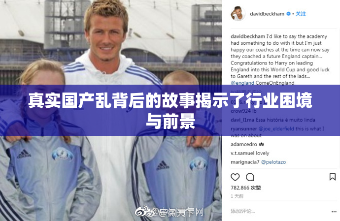 真实国产乱背后的故事揭示了行业困境与前景