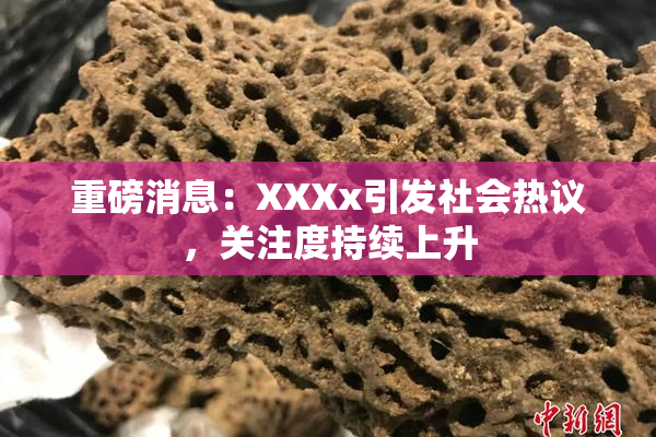 重磅消息：XXXx引发社会热议，关注度持续上升