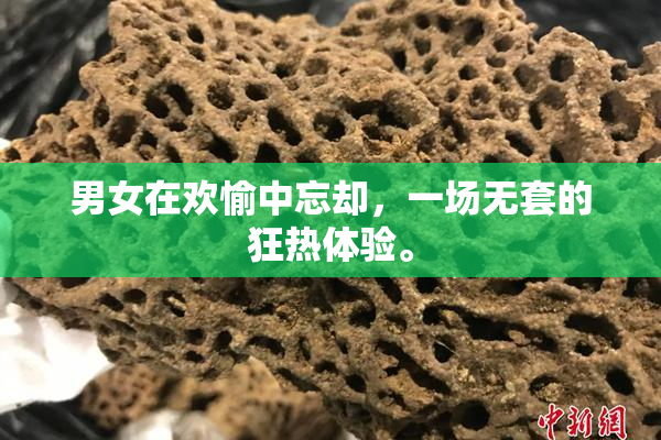 男女在欢愉中忘却，一场无套的狂热体验。