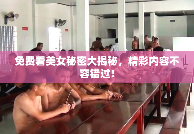 免费看美女秘密大揭秘，精彩内容不容错过！