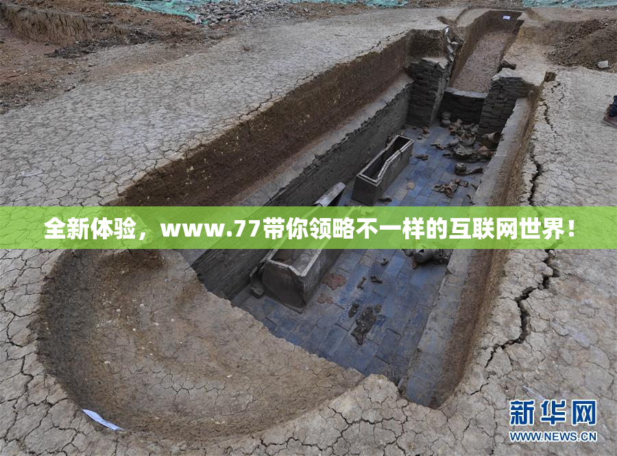 全新体验，www.77带你领略不一样的互联网世界！