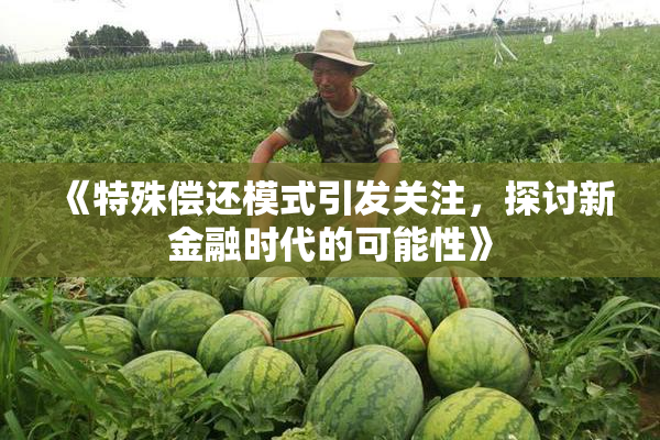 《特殊偿还模式引发关注，探讨新金融时代的可能性》