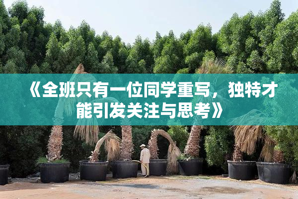 《全班只有一位同学重写，独特才能引发关注与思考》