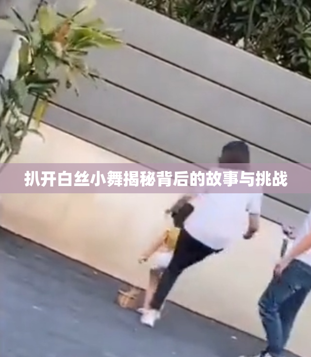 扒开白丝小舞揭秘背后的故事与挑战