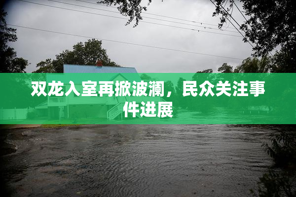 双龙入室再掀波澜，民众关注事件进展