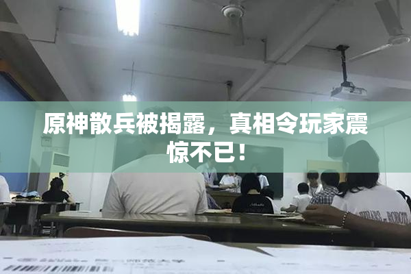 原神散兵被揭露，真相令玩家震惊不已！
