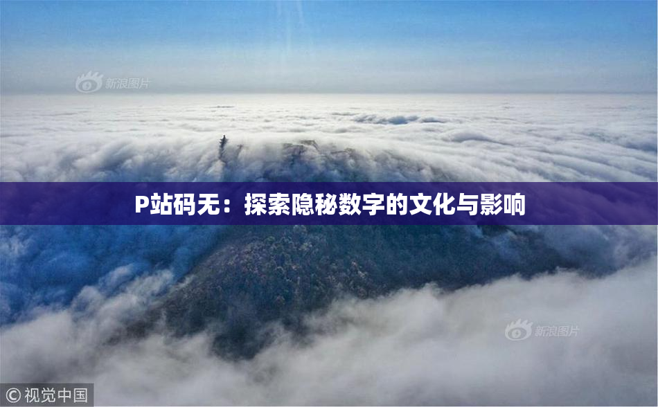P站码无：探索隐秘数字的文化与影响