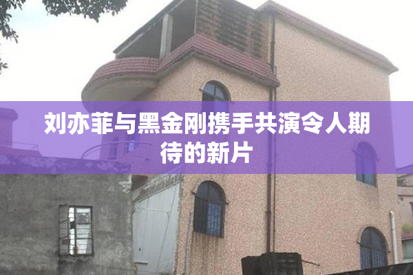 刘亦菲与黑金刚携手共演令人期待的新片