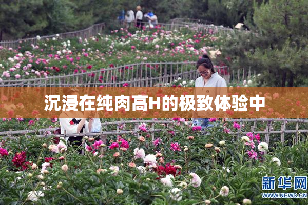 沉浸在纯肉高H的极致体验中