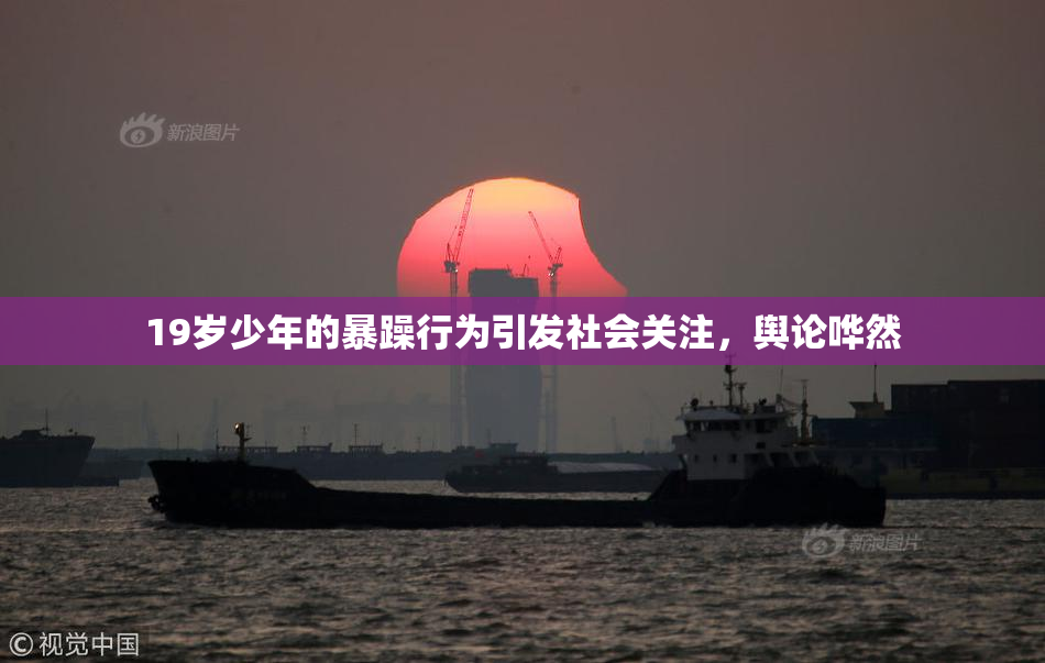 19岁少年的暴躁行为引发社会关注，舆论哗然