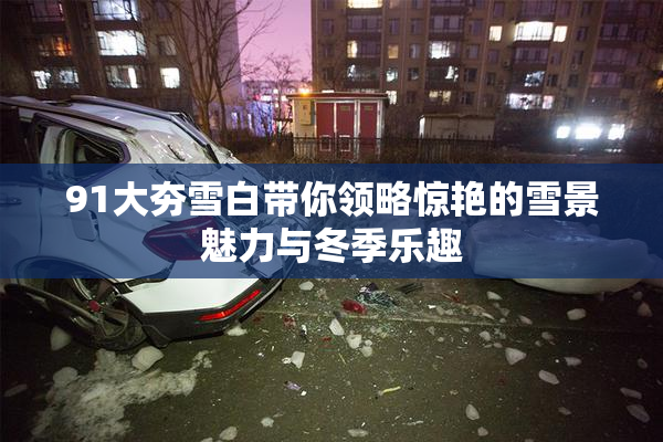 91大夯雪白带你领略惊艳的雪景魅力与冬季乐趣