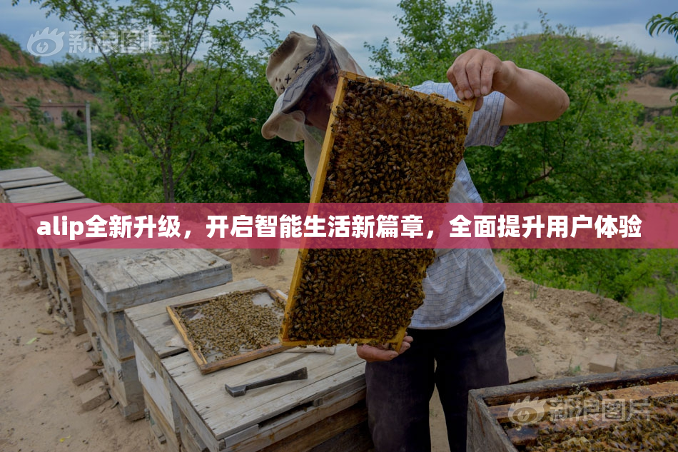 alip全新升级，开启智能生活新篇章，全面提升用户体验
